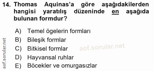 14. soru: Thomas Aquinas'a göre aşağıdakilerden hangisi yaratılış düzeninde en aşağıda bulunan formdur? A) Temel ögelerin forml…