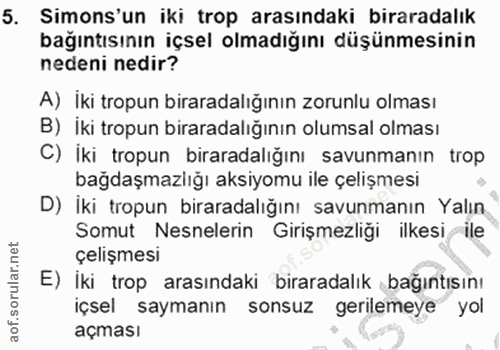5. soru: Simons'un iki trop arasındaki biraradalık bağıntısının içsel olmadığını düşünmesinin nedeni nedir? A) İki tropun bira…