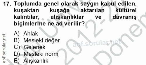 17. soru: Toplumda genel olarak saygın kabul edilen, kuşaktan kuşağa aktarılan kültürel kalıntılar, alışkanlıklar ve davranış b…