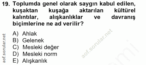 19. soru: Toplumda genel olarak saygın kabul edilen, kuşaktan kuşağa aktarılan kültürel kalıntılar, alışkanlıklar ve davranış b…