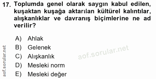 17. soru: Toplumda genel olarak saygın kabul edilen, kuşaktan kuşağa aktarılan kültürel kalıntılar, alışkanlıklar ve davranış b…