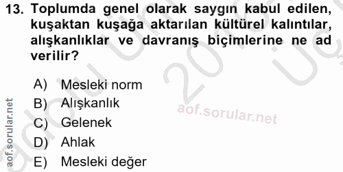 13. soru: Toplumda genel olarak saygın kabul edilen, kuşaktan kuşağa aktarılan kültürel kalıntılar, alışkanlıklar ve davranış b…