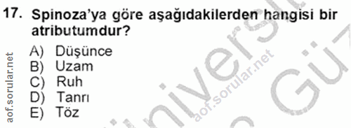 17. soru: Spinoza'ya göre aşağıdakilerden hangisi bir atributumdur? A) Düşünce Uzam Ruh Tanrı E) Töz