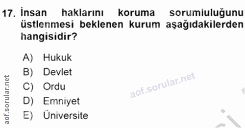 17. soru: İnsan haklarını koruma sorumiuluğunu üstlenmesi beklenen kurum aşağıdakilerden hangisidir? A) Hukuk B) Devlet C) Ordu…