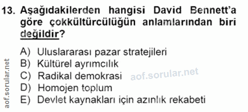 13. soru: Aşağıdakilerden hangisi David Bennett'a göre çokkültürcülüğün anlamlarından biri değildir? A) Uluslararası pazar stra…