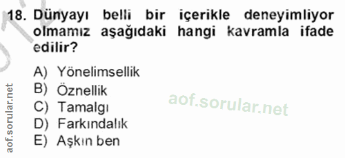 18. soru: Dünyayı belli bir içerikle deneyimliyor olmamız aşağıdaki hangi kavramla ifade edilir? A) Yönelimsellik B) Öznellik C…