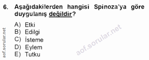 6. soru: Aşağıdakilerden hangisi Spinoza'ya göre duygulanış değildir? A) Etki B) Edilgi C) isteme D) Eylem E) Tutku
