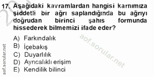 17. soru: Aşağıdaki kavramlardan hangisi karnımıza şiddetli bir ağrı saplandığında bu ağrıyı doğrudan birinci şahıs formunda hi…