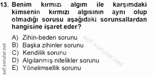 13. soru: Benim kırmızı algım ile karşımdaki kimsenin kırmızı algısının aynı olup olmadığı sorusu aşağıdaki sorunsallardan hang…