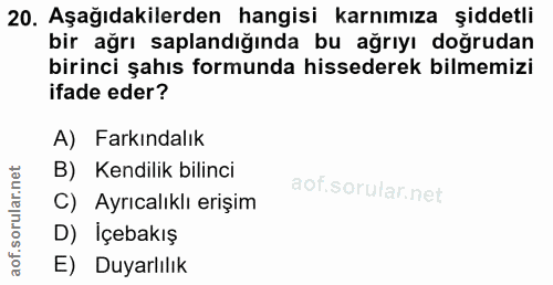 20. soru: Aşağıdakilerden hangisi karnımıza şiddetli bir ağrı saplandığında bu ağrıyı doğrudan birinci şahıs formunda hissedere…