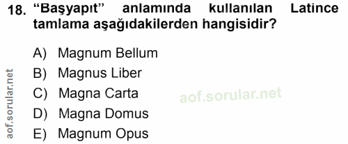 18. soru: "Başyapıt" anlamında kullanılan Latince tamlama aşağıdakilerden hangisidir? A) Magnum Bellum rular.net B) Magnus Libe…