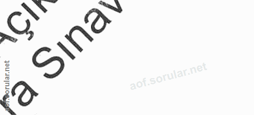 8. soru: a Sinav oiorular.net