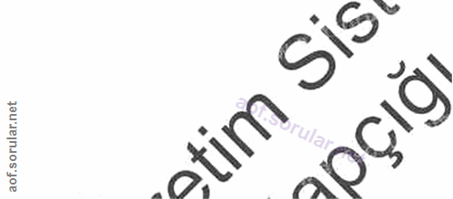 7. soru: etim Sisı