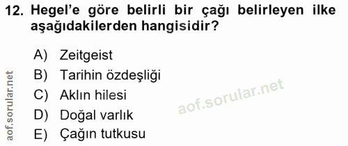 12. soru: Hegel'e göre belirli bir çağı belirleyen ilke aşağıdakilerden hangisidir? A) Zeitgeist B) Tarihin özdeşliği C) Aklın…