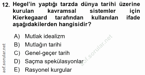 12. soru: Hegel'in yaptığı tarzda dünya tarihi üzerine kurulan kavramsal sistemler için Kie kganrd tarafından kullanılan ifade…
