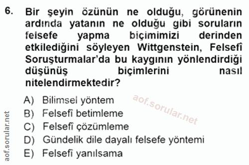6. soru: Bir şeyin özünün ne olduğu, görünenin ardında yatanın ne olduğu gibi soruların feisefe yapma biçimimizi derinden etki…