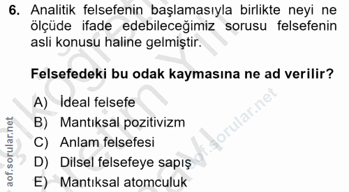 6. soru: Analitik felsefenin başlamasıyla birlikte neyi ne ölçüde ifade edebileceğimiz sorusu felsefenin asli konusu haline ge…
