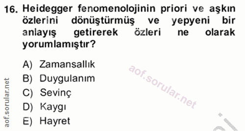 16. soru: Heidegger fenomenolojinin priori ve aşkın özlerini dönüştürmüş ve yepyeni bir anlayış getirerek özleri ne olarak yoru…