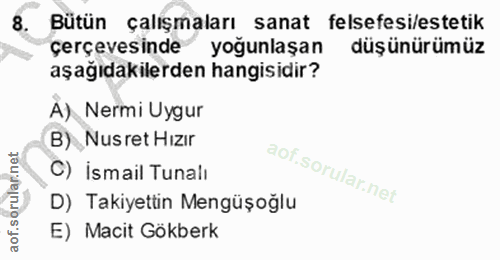 8. soru: Bütün çalışmaları sanat felsefesi/estetik çerçevesinde yoğunlaşan düşünürümüz aşağıdakilerden hangisidir? A) Nermi Uy…