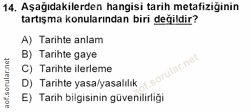14. soru: Aşağıdakilerden hangisi tarih metafiziğinin tartışma konularından biri değildir? A) Tarihte anlam B) Tarihte gaye C)…