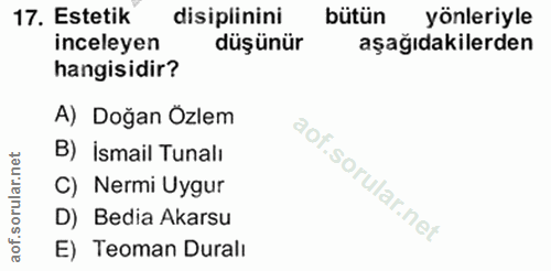 17. soru: Estetik disiplinini bütün yönleriyle inceleyen düşünür aşağıdakilerden hangisidir? A) Doğan Özlem B) İsmail Tunalı C)…