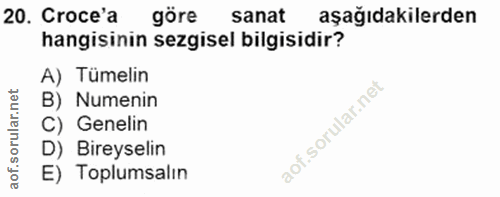 20. soru: Croce'a göre sanat aşağıdakilerden hangisinin sezgisel bilgisidir? A) Tümelin B) Numenin C) Genelin D) Bireyselin E)…