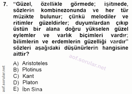 7. soru: "Güzel, özellikle görmede; işitmede, sözlerin kombinezonunda ve her tür müzikte bulunur; çünkü melodiler ve ritimler…