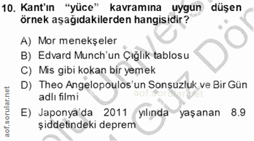 10. soru: Kant'ın "yüce" kavramına uygun düşen örnek aşağıdakilerden hangisidir? A) Mor menekşeler B) Edvard Munch'un Çığlık ta…