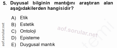 5. soru: Duyusal bilginin mantığını araştıran alan aşağıdakilerden hangisidir? A) Etik B) Estetik C) Ontoloji D) Episteme E) D…