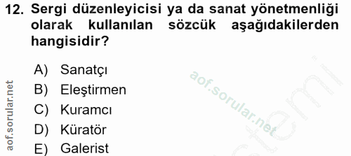 12. soru: Sergi düzenleyicisi ya da sanat yönetmenliği olarak kullanılan sözcük aşağıdakilerden hangisidir? A) Sanatçi B) Eleşt…