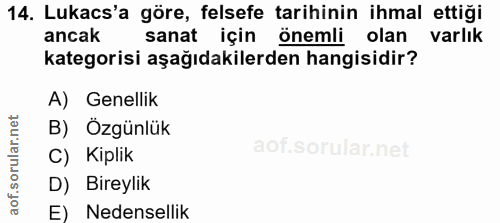14. soru: Lukacs'a göre, felsefe tarihinin ihmal ettiği ancak sanat için önemli olan varlık kategorisi aşağıdakilerden hangisid…
