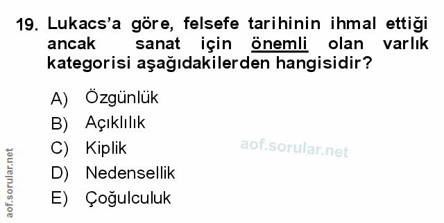 19. soru: Lukacs'a göre, felsefe tarihinin ihmal ettiği ancak sanat için önemli olan varlık kategorisi aşağıdakilerden hangisid…