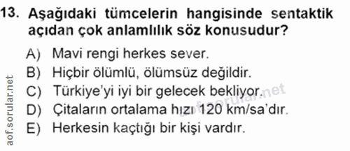 13. soru: Aşağıdaki tümcelerin hangisinde sentaktik açıdan çok anlamlılık söz konusudur? A) Mavi rengi herkes sever. B) Hiçbir…