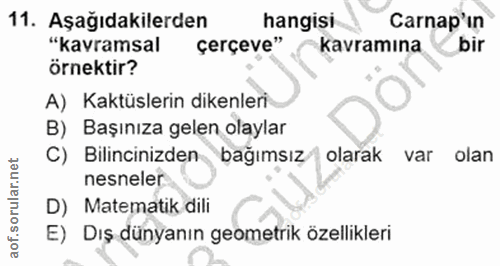 11. soru: Aşağıdakilerden hangisi Carnap'ın "kavramsal çerçeve" kavramına bir örnektir? A) Kaktüslerin dikenleri B) Başınıza ge…