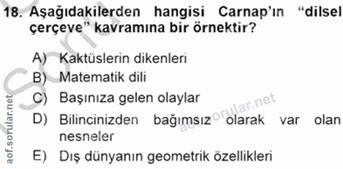 18. soru: Aşağıdakilerden hangisi Carnap'ın "dilsel çerçeve" kavramına bir örnektir? )Kaktüslerin dikenleri B) Matematik dili C…
