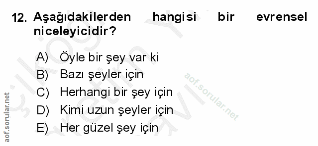 12. soru: Aşağıdakilerden hangisi bir evrensel niceleyicidir? A) Oyle bir şey var ki B) Bazı şeyler için C) Herhangi bir şey iç…