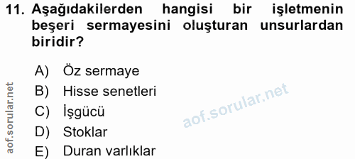 11. soru: Aşağıdakilerden hangisi bir işletmenin beşeri sermayesini oluşturan unsurlardan biridir? A) Öz sermaye B) Hisse senet…