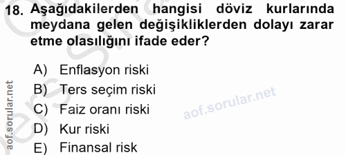 18. soru: Aşağıdakilerden hangisi döviz kurlarında meydana gelen değişikliklerden dolayı zarar etme olasılığını ifade eder? A)…