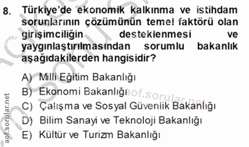 8. soru: Türkiye'de ekonomik kalkınma ve istihdam sorunlarının çözümünün temel faktörü olan girişimciligin destekienmesi ve ya…