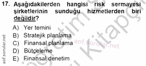 17. soru: Aşağıdakilerden hangisi risk sermayesi şirketlerinin sunduğu hizmetlerden biri değildir? A) Yer temini C) Finansal pl…