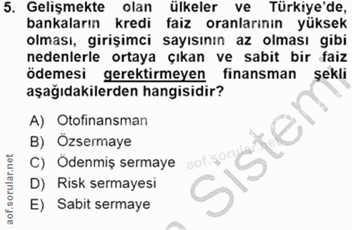 5. soru: Gelişmekte olan ülkeler ve Türkiye'de, bankaların kredi faiz oranlarının yüksek olması, girişimci sayısının az olması…