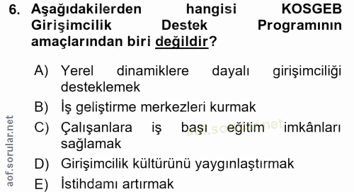 6. soru: Aşağıdakilerden hangisi KOSGEB Girişimcilik Destek Programinin amaçlarından biri değildir? A) Yerel dinamiklere dayal…