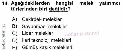 14. soru: Aşağıdakilerden hangisi melek yatırımcı türlerinden biri değildir? A) Çekirdek melekler B) Savunmacı melekler C) Lide…