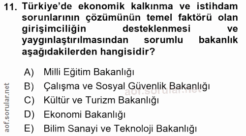 11. soru: Türkiye'de ekonomik kalkınma ve istihdam sorunlarının çözümünün temel faktörü olan girişimciliğin desteklenmesi ve ya…