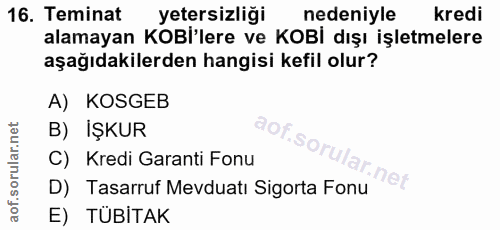 16. soru: Teminat yetersizliği nedeniyle kredi alamayan KOBİ'lere ve KOBİ dışı işletmelere aşağıdakilerden hangisi kefil olur?…