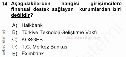 14. soru: Aşağıdakilerden hangisi girişimcilere finansal destek sağlayan kurumlardan biri değildir? A) Halkbank B) Türkiye Tekn…