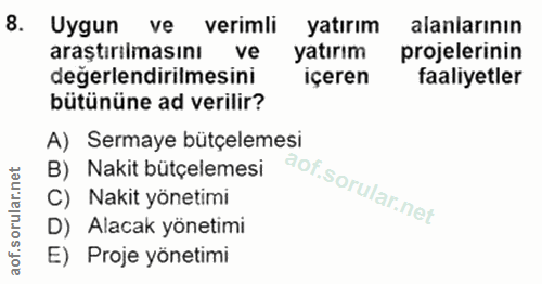 8. soru: Uygun ve verimli yatırım alanlarının araştırılmasını ve yatırım projelerinin degerlendirilmesini içeren faaliyetler b…