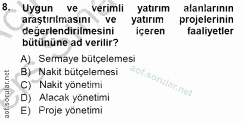 8. soru: Uygun ve verimli yatırım alanlarının araştırılmasını ve yatırım projelerinin degerlendirilmesini içeren faaliyetler b…