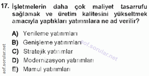 17. soru: İşletmelerin daha çok maliyet tasarrufu sağlamak ve üretim kalitesini yükseltmek amacıyla yaptıkları yatırımlara ne a…