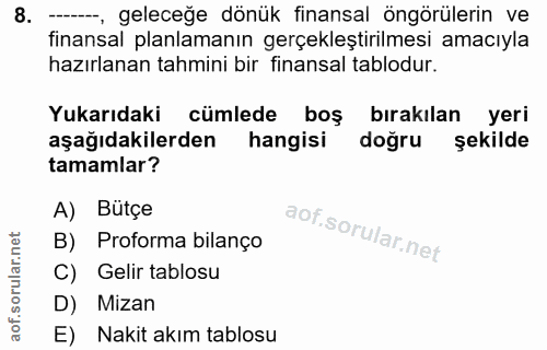 8. soru: -- geleceğe dönük finansal öngörülerin ve finansal planlamanın gerçekleştirilmesi amacıyla hazırlanan tahmini bir fin…
